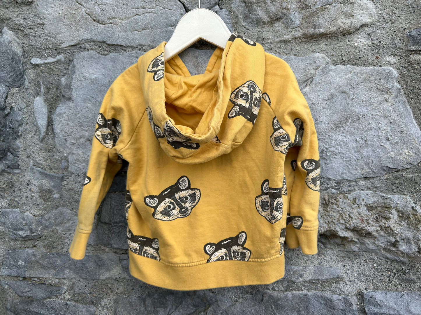Raccoon mustard hoodie  9-12m (74-80cm)