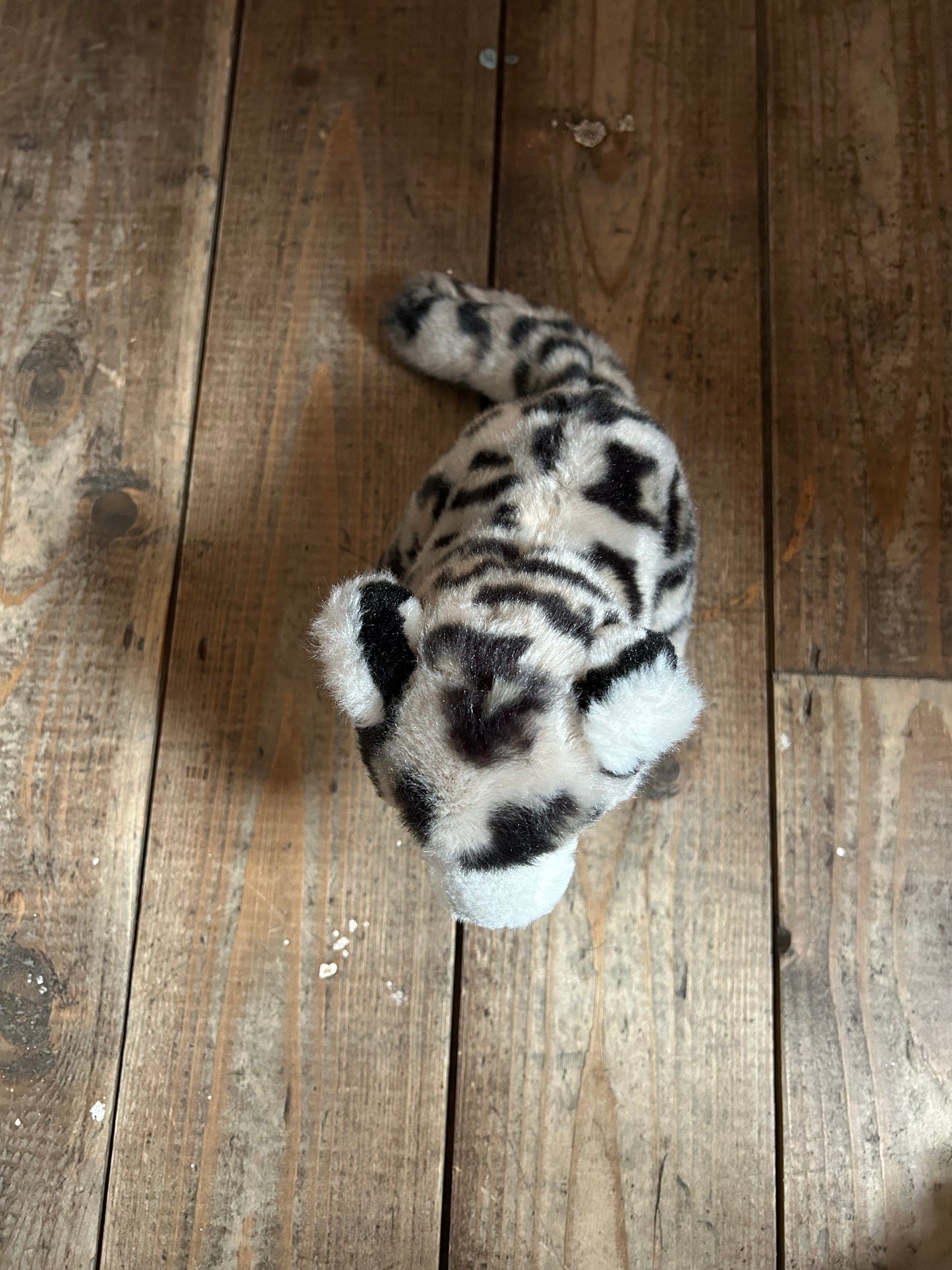 Snow leopard