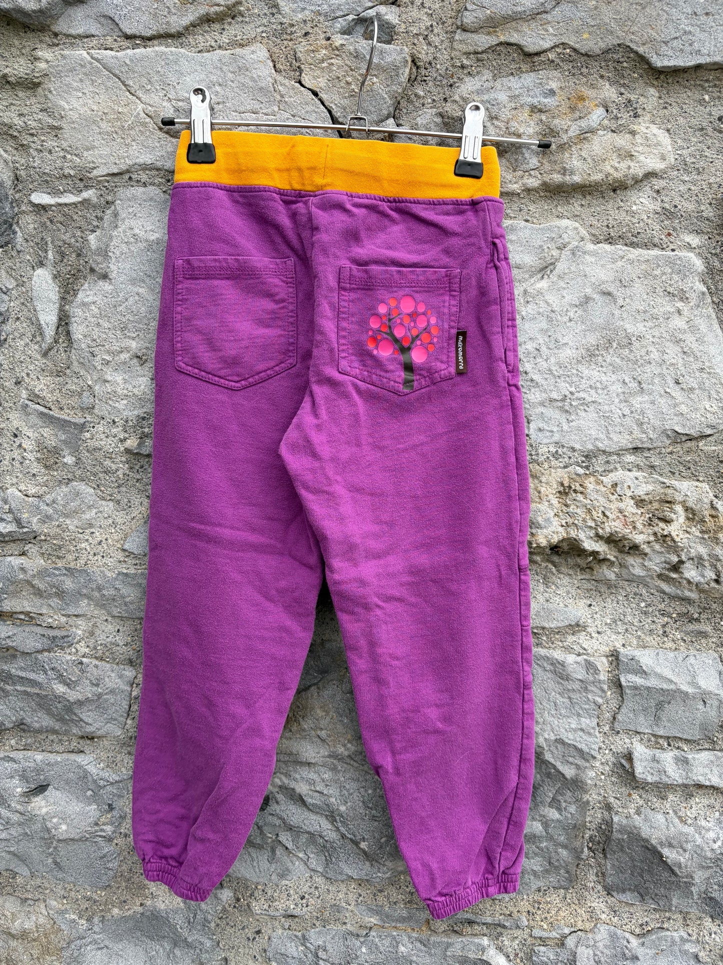 Purple pants  5-6y (110-116cm)