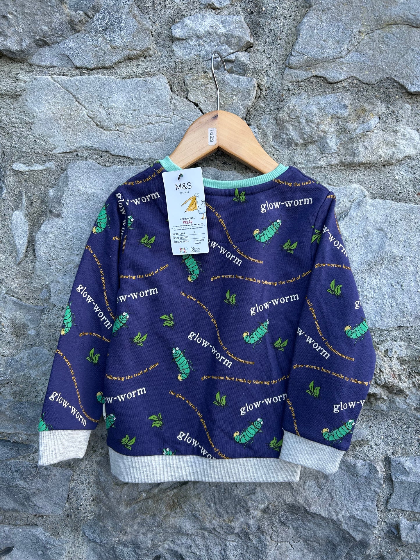 R.Dahl Glow Worm Sweatshirt  2-3y (92-98cm)