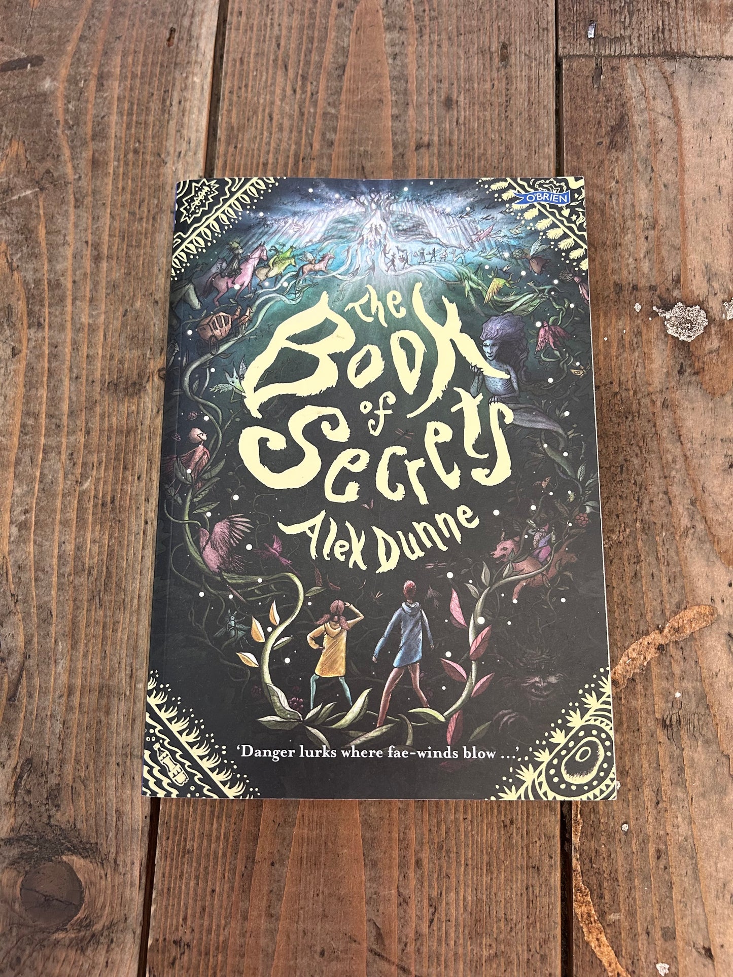 The book of secrets by Alex Dunne