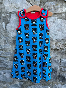 Raccoon blue play dress   3-4y (98-104cm)