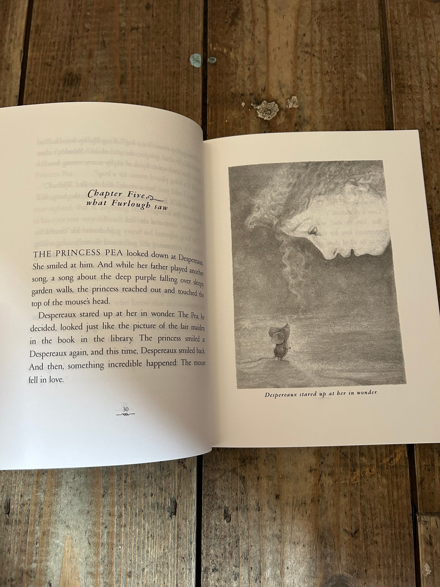 The tale of Despereaux by Kate DiCamillo