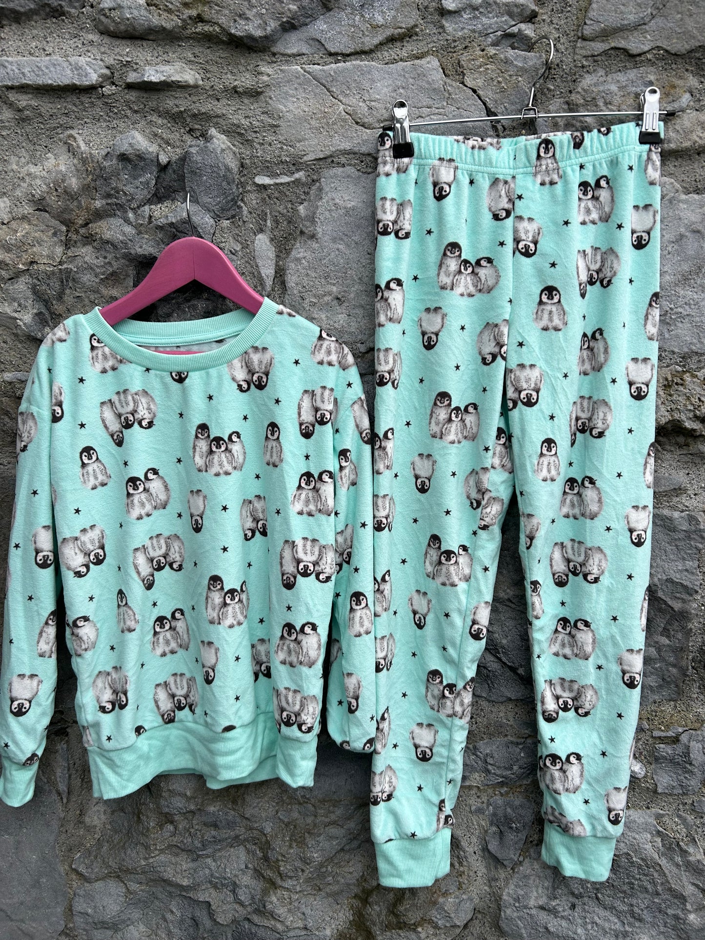 Penguin mint fleece pj  9-10y (134-140cm)