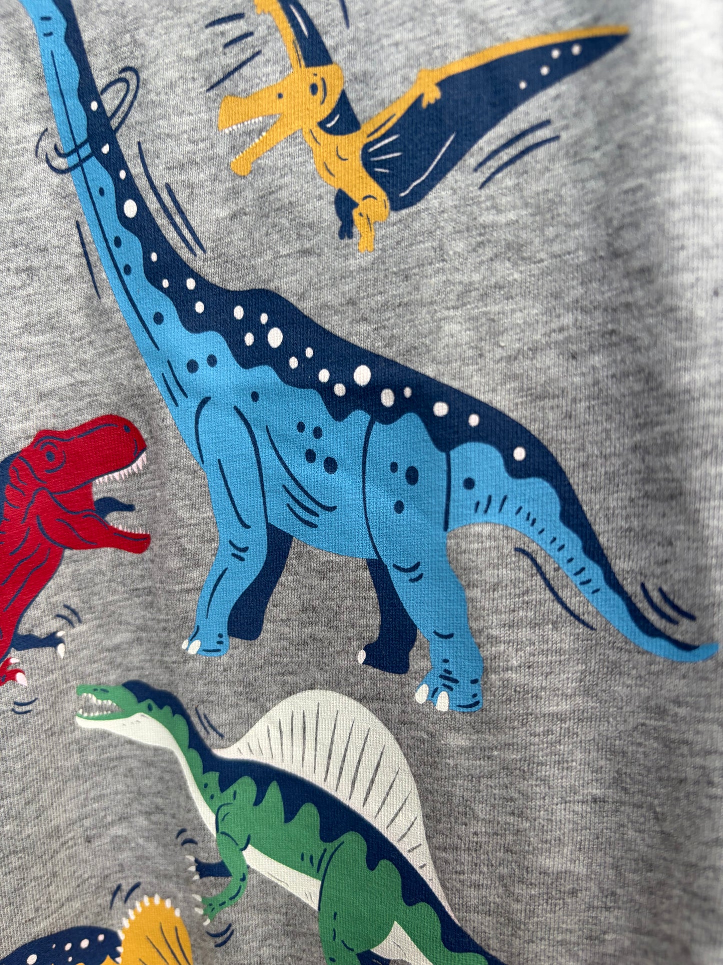 Dinosaur Stomp grey T-Shirt  10-11y (140-146cm)