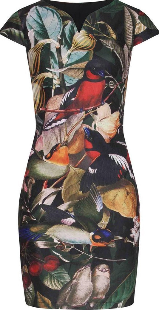 Birds in the orchard dress uk 12