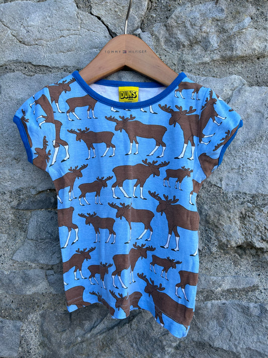 Moose blue T-shirt  12-18m (80-86cm)