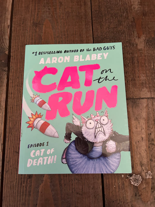 Cat on the run by Aaron Blabey