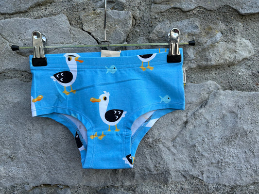 Seagulls blue hipster briefs  3-4y (98-104cm)