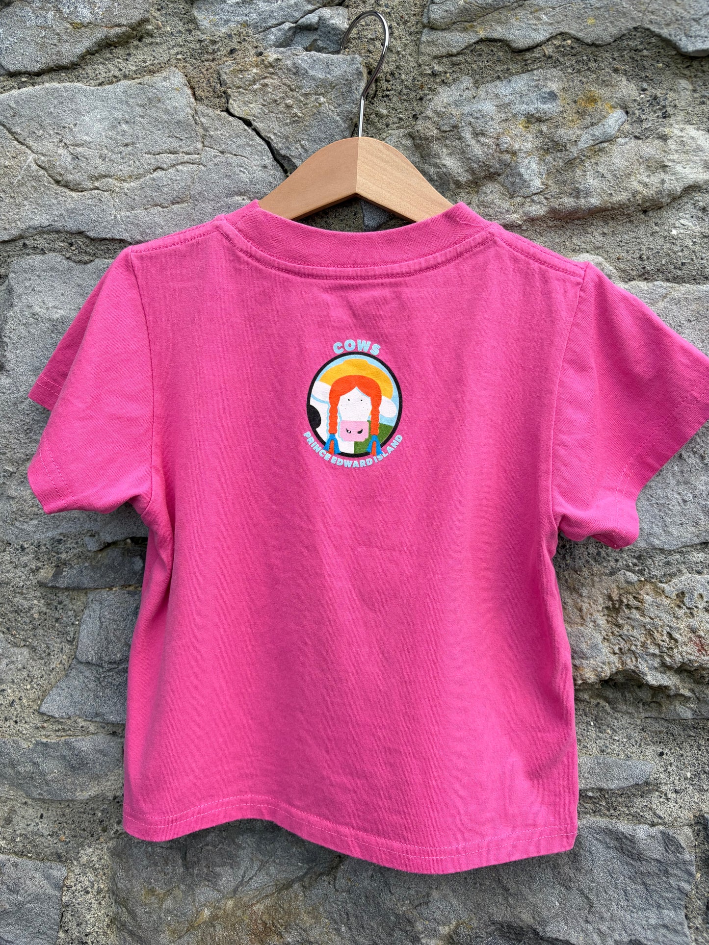 Anne of Green Stables pink t-shirt  3-4y (98-104cm)