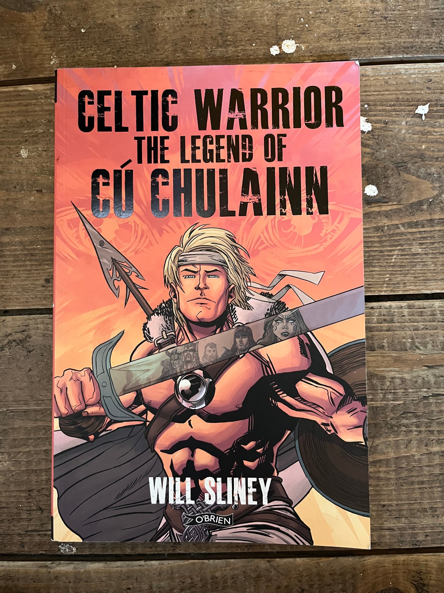 Celtic Warrior The Legend of Cu Chulainn by Will Sliney