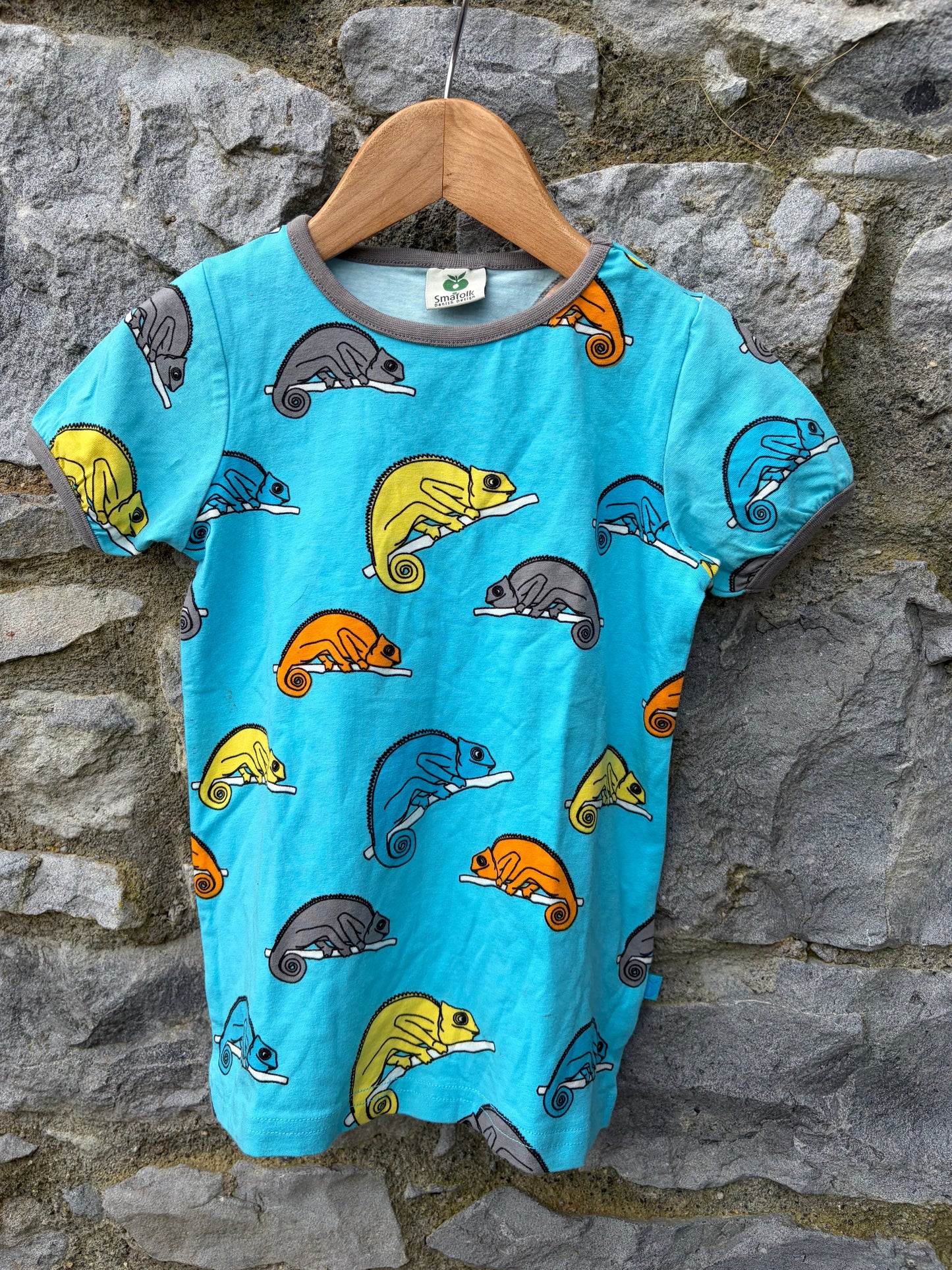 Chameleon Blue T-shirt 4-5y (104-110m)