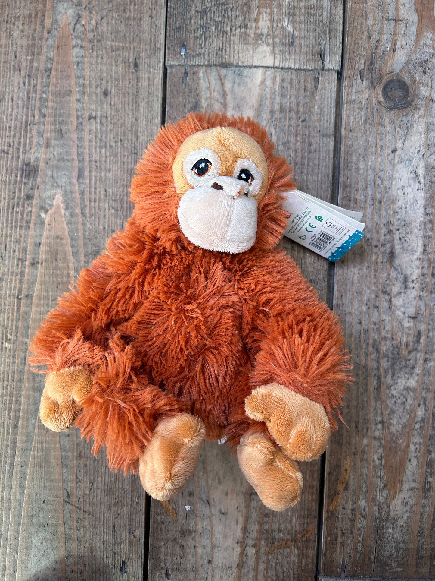 Orang-outan
