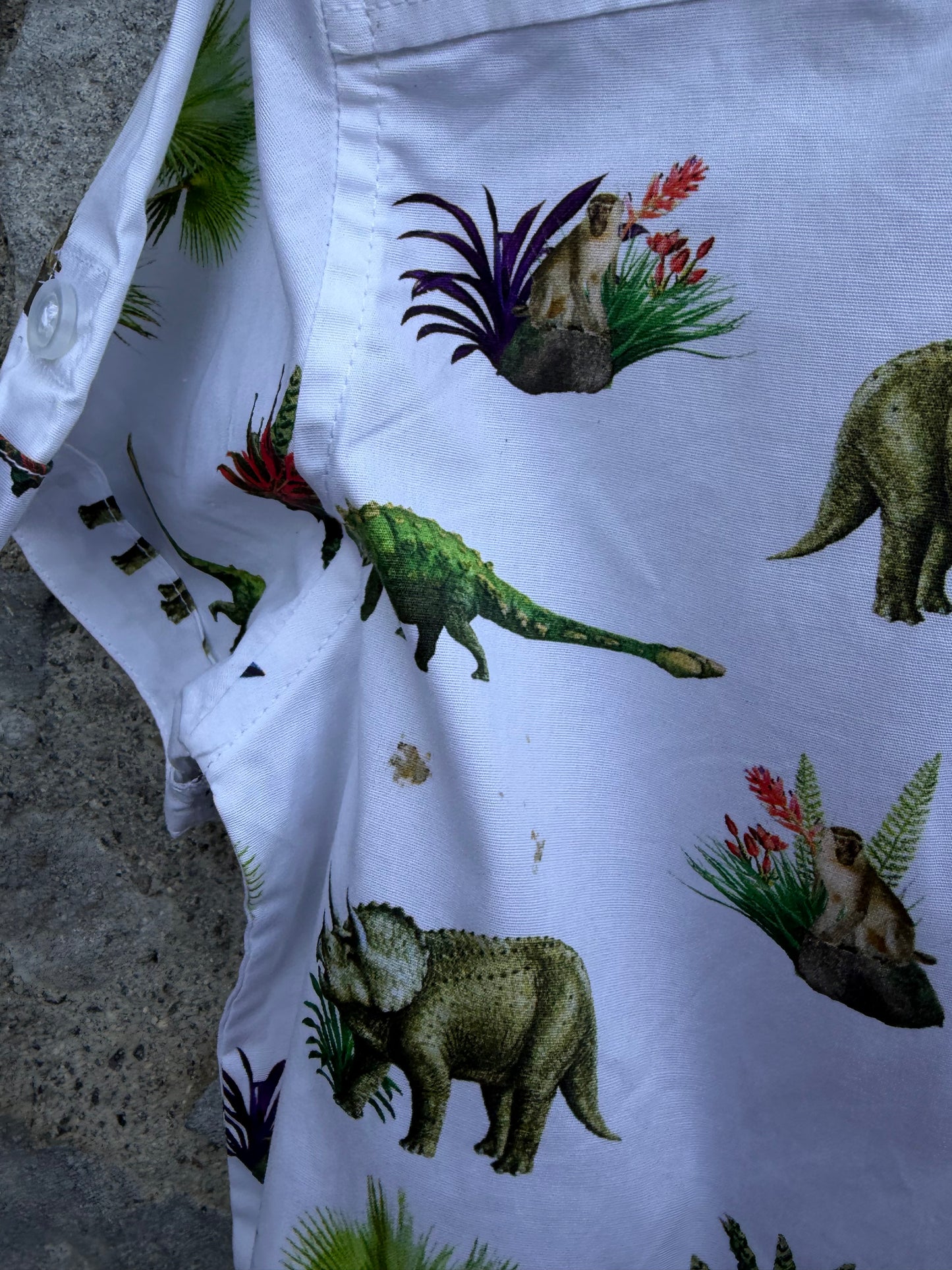 Dinosaurs white shirt  8y (128cm)