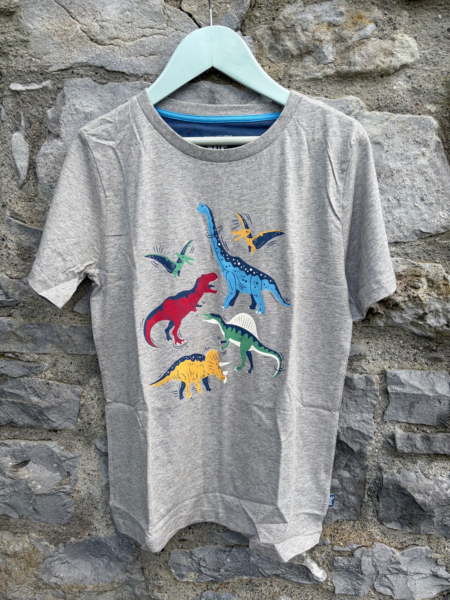 Dinosaur Stomp grey T-Shirt  10-11y (140-146cm)