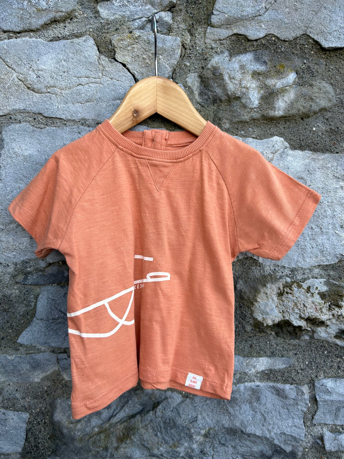 Seasaw T-shirt  9-12m (74-80cm)