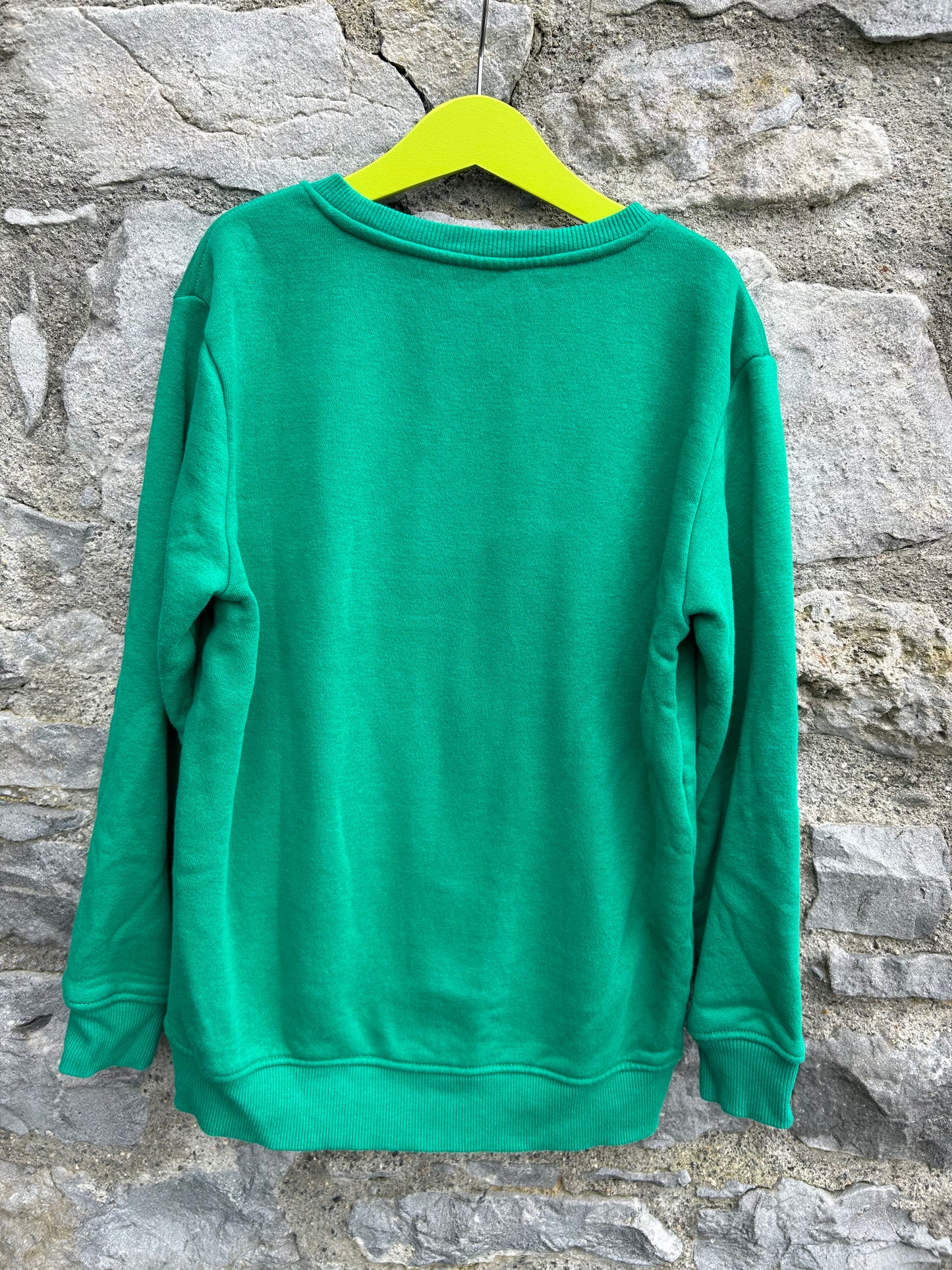 Reindeer green sweatshirt  9-10y (134-140cm)