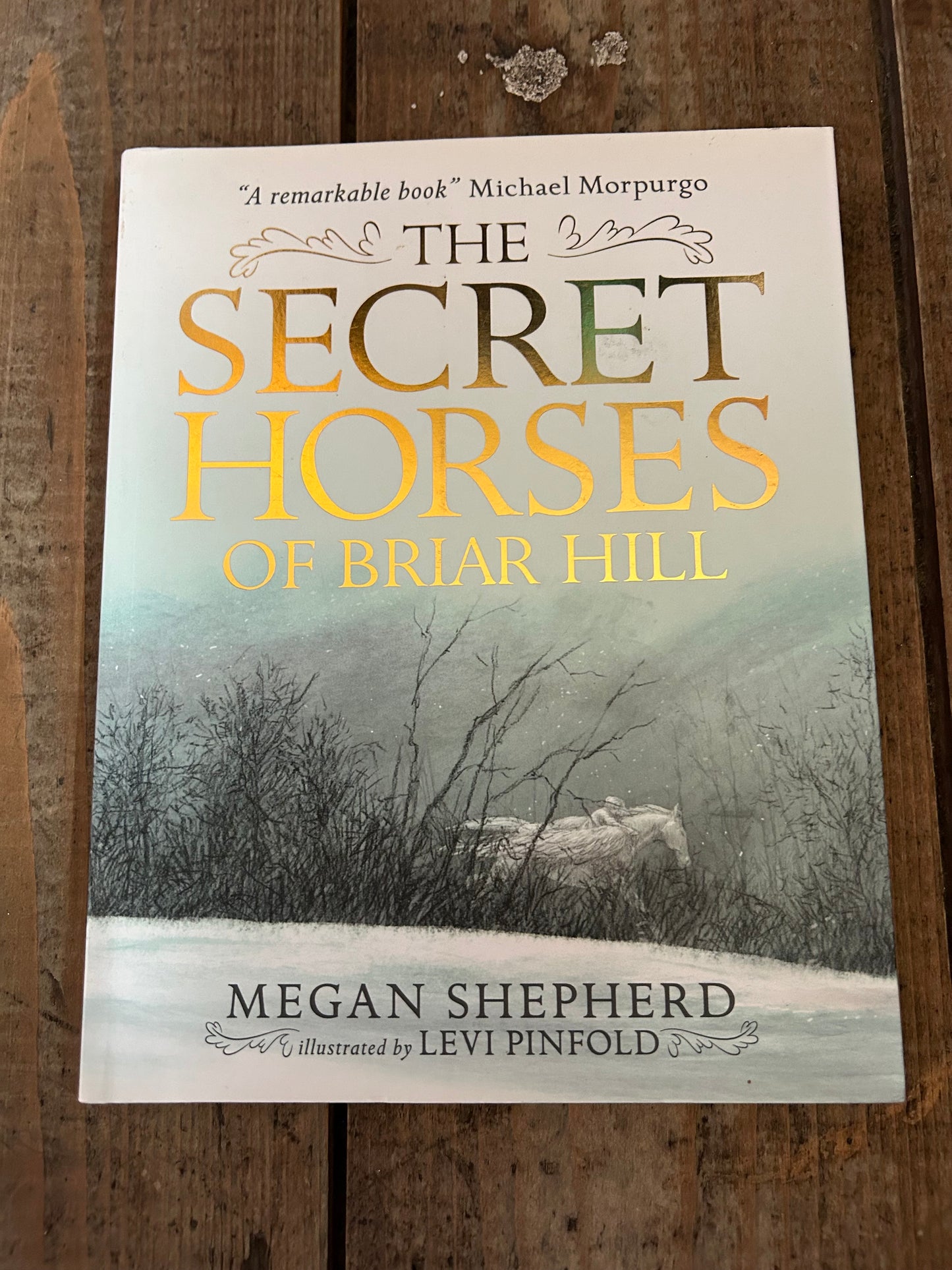 The secret horses of Brihar Hill by Megan Shepard