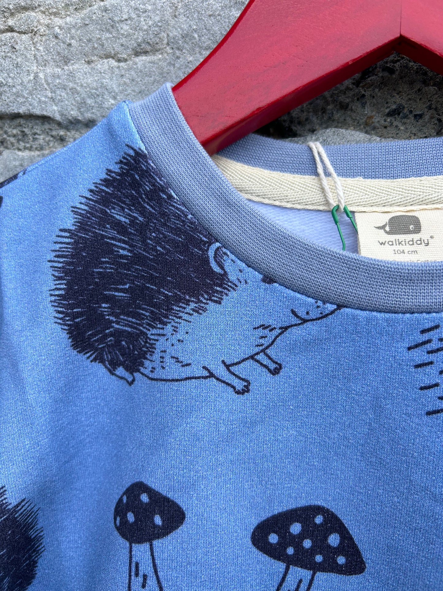 Hedgehog blue sweatshirt   4y (104cm)