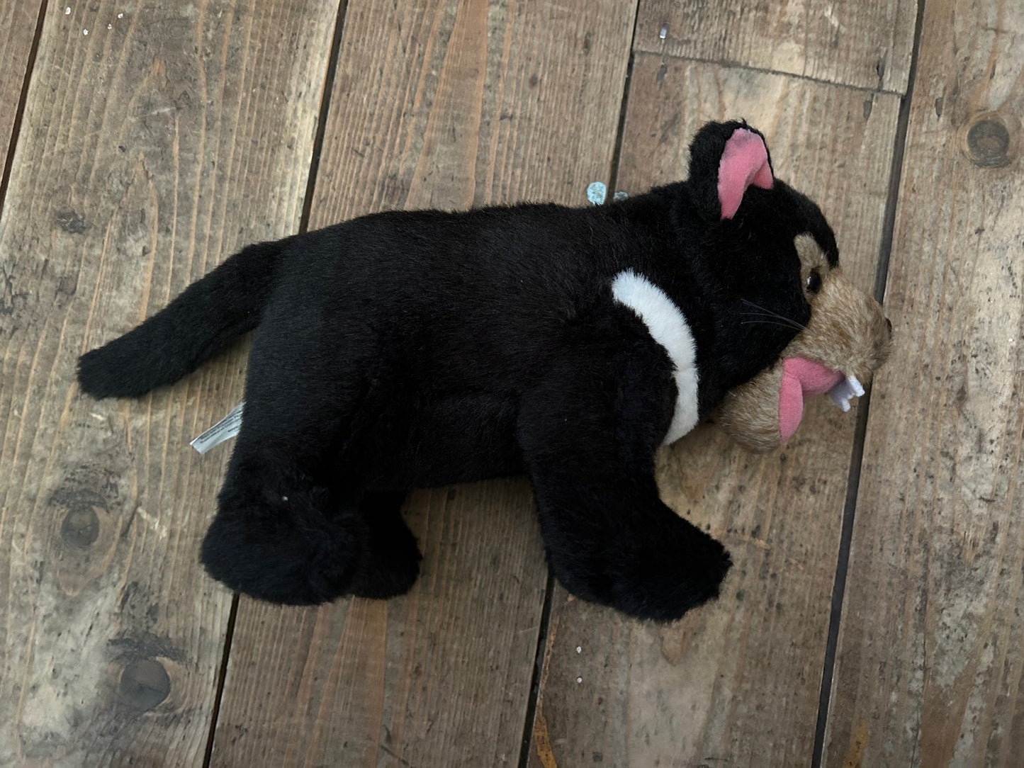 Tasmanian devil soft toy