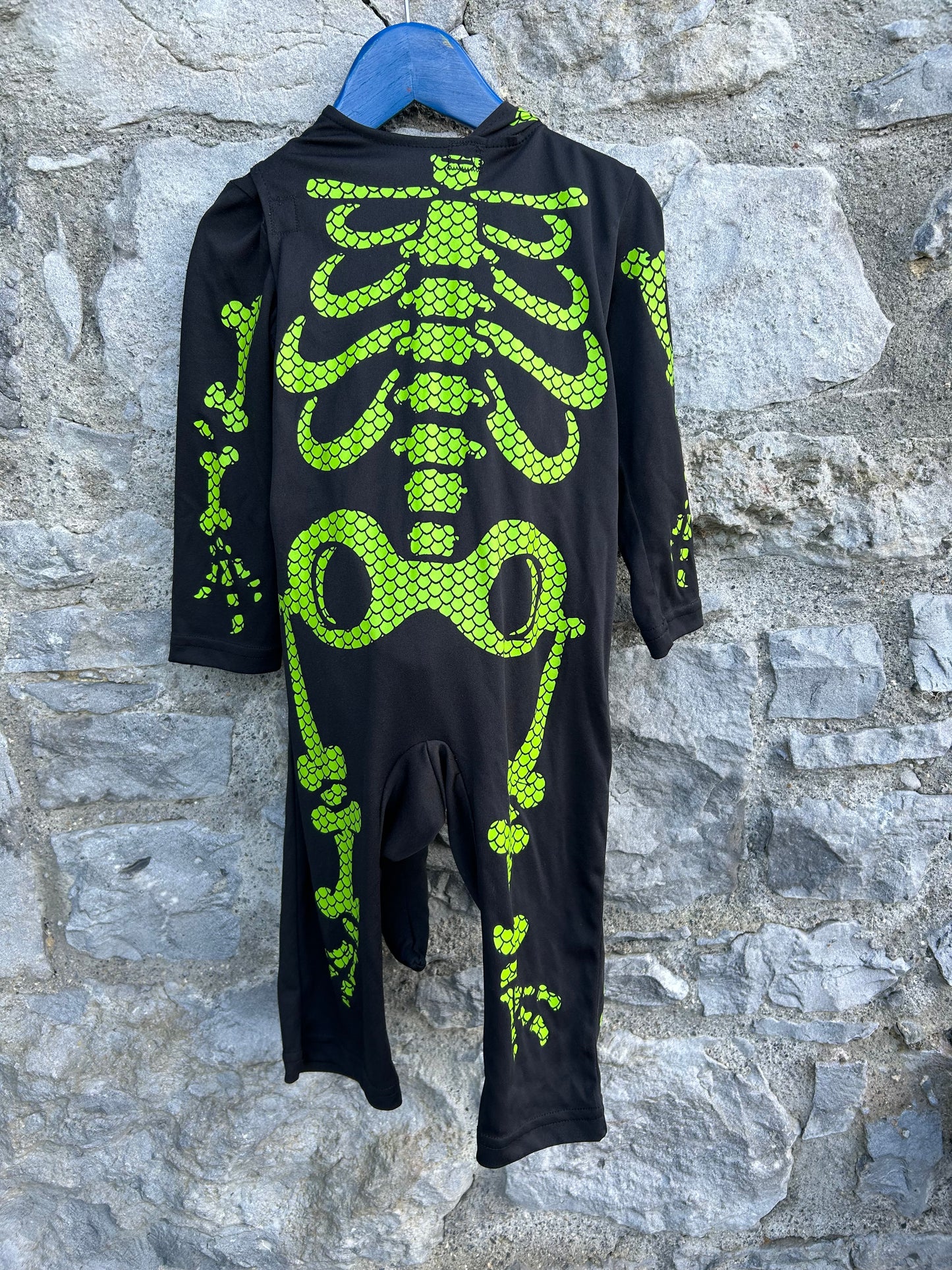 Skeleton lizard 18-24m (82-92cm)