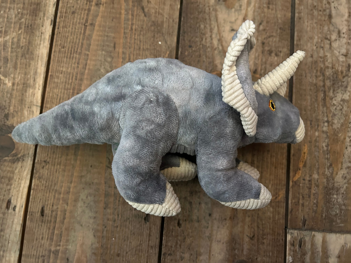 Dinosaur