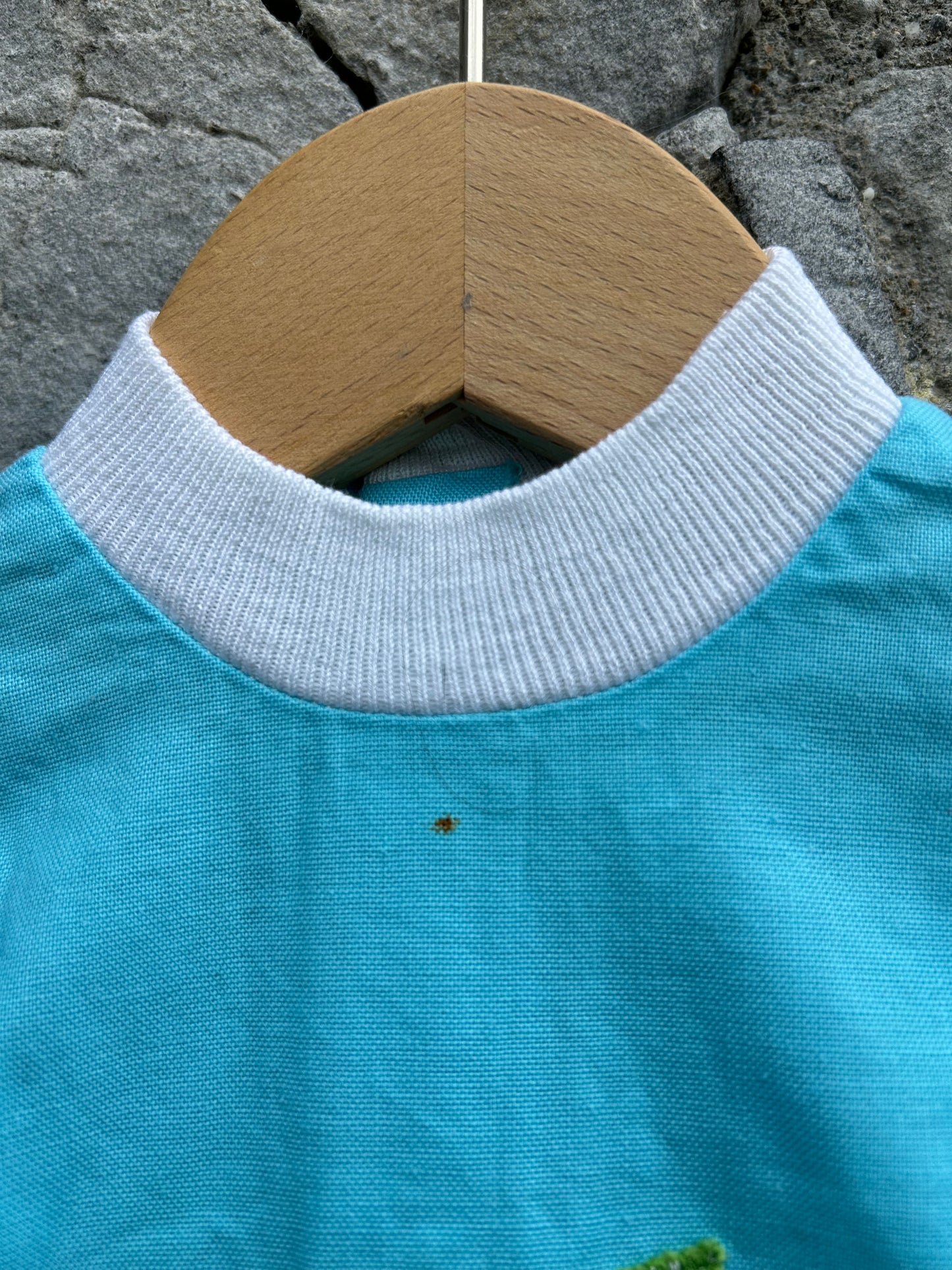 70s apple blue top 12m (80cm)