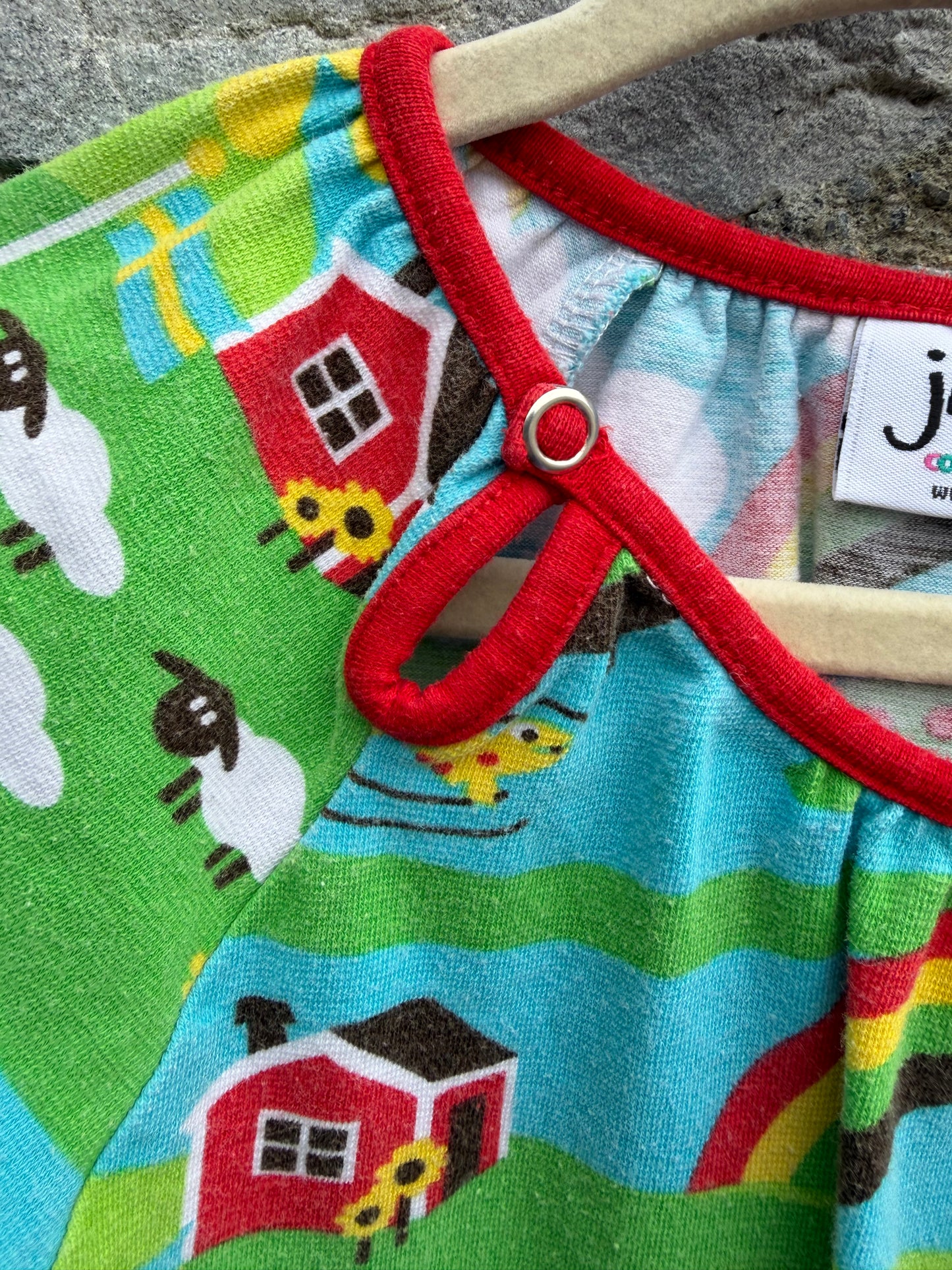 Rainbow farm dress  4-5y (104-110cm)