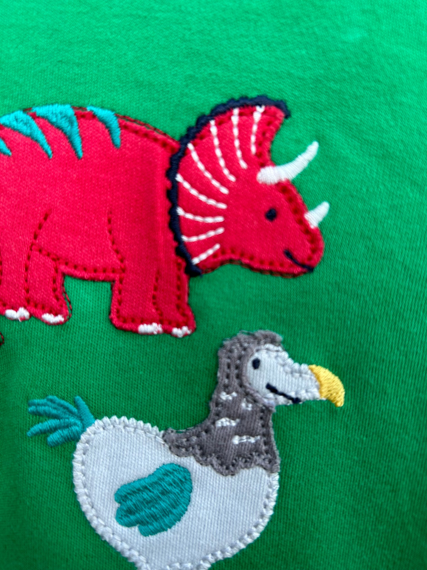 Dinosaurs green T-shirt  3-6m (62-68cm)