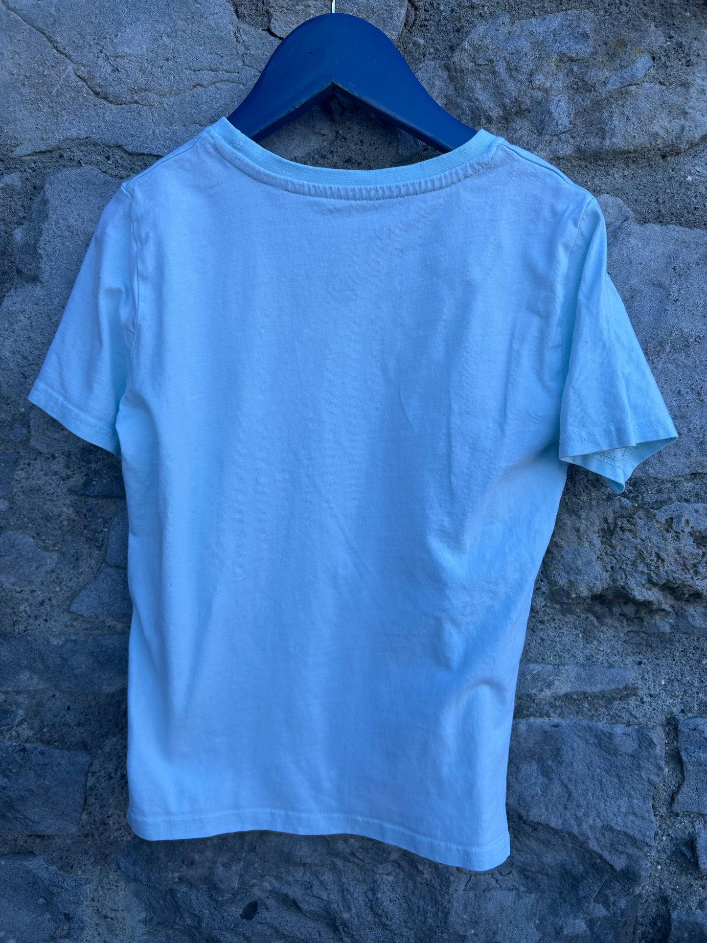 Blue turtle t-shirt 5-6y (110-116cm)