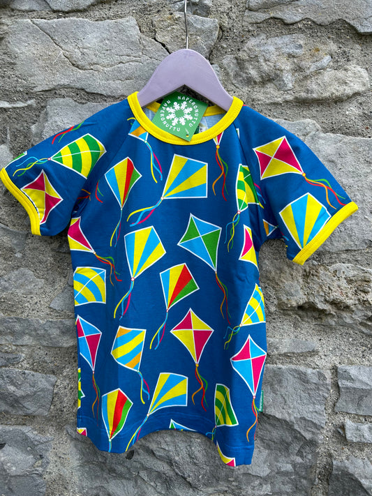 Rainbow kites T-shirt   6-7y (116-122cm)