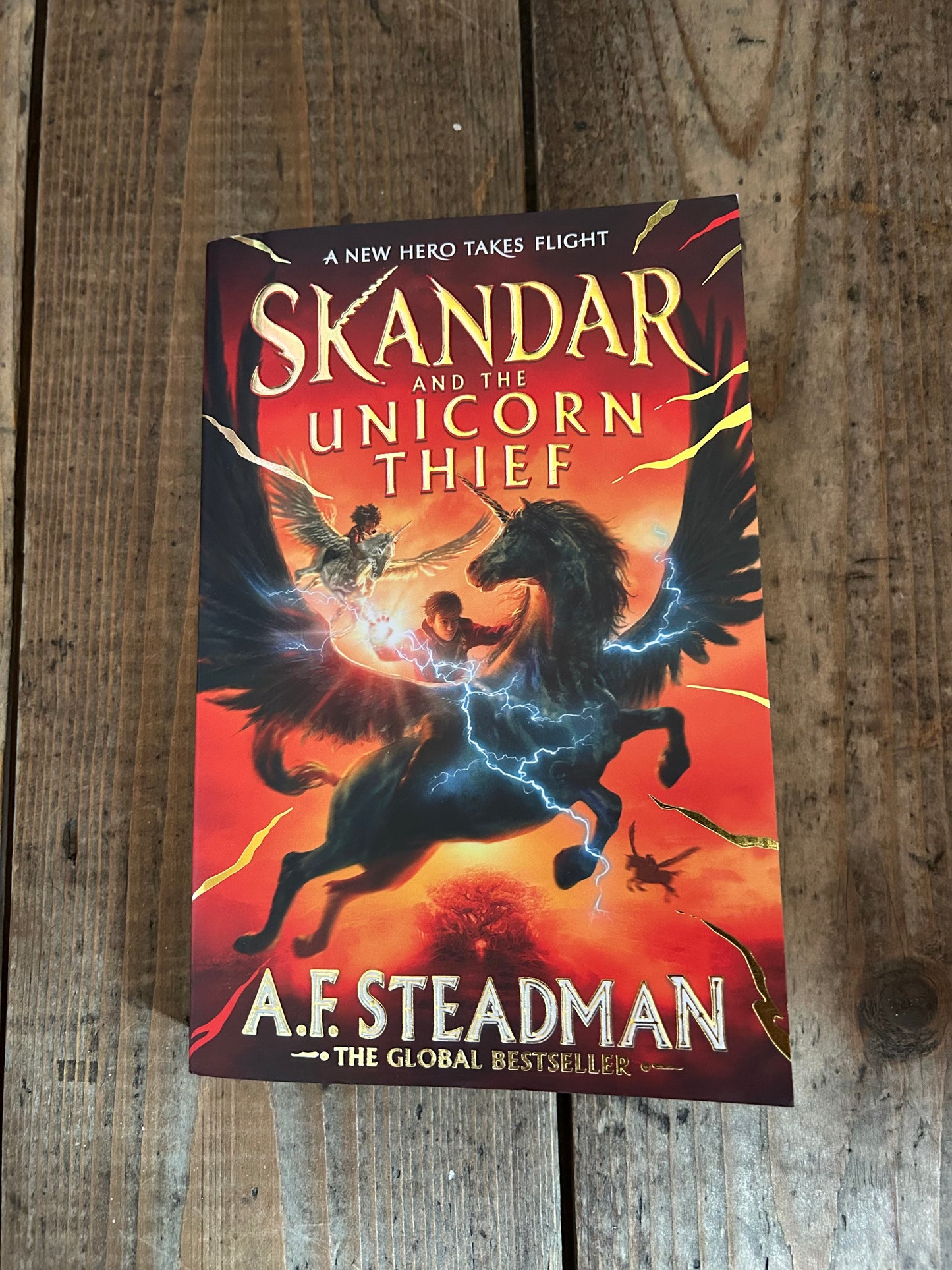 Skander and the unicorn thief by A.F.Steadman