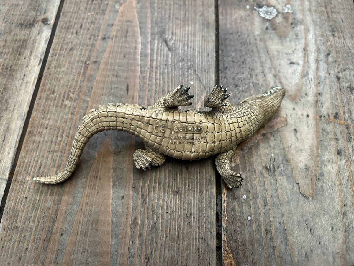 Crocodile
