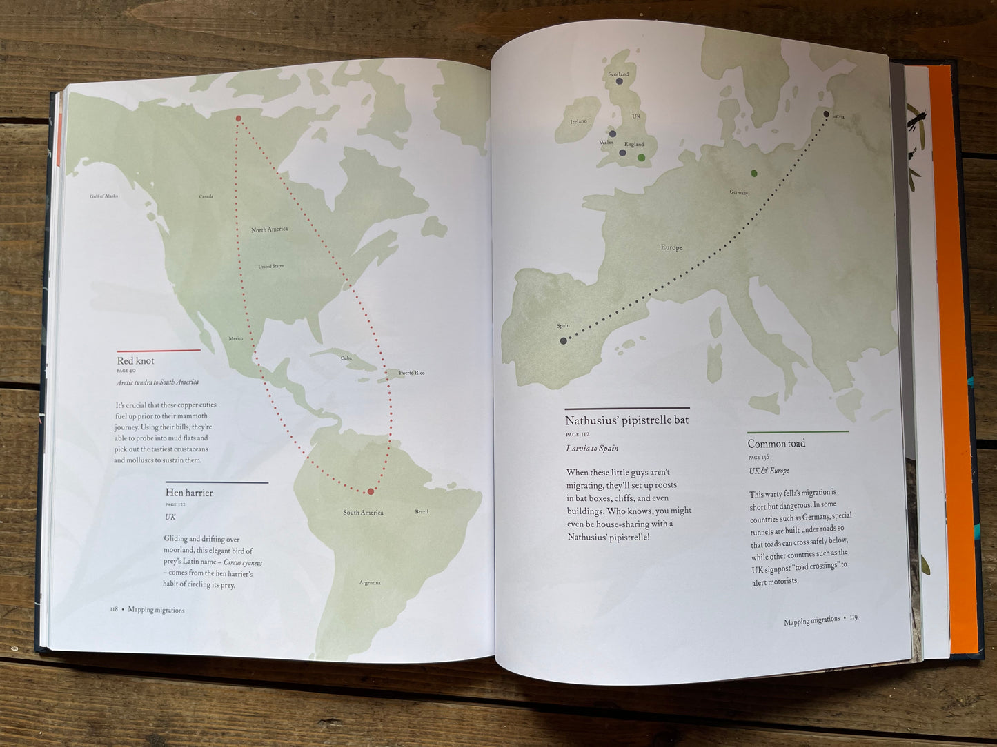 Atlas of Amazing Migrations by Matt Sewell