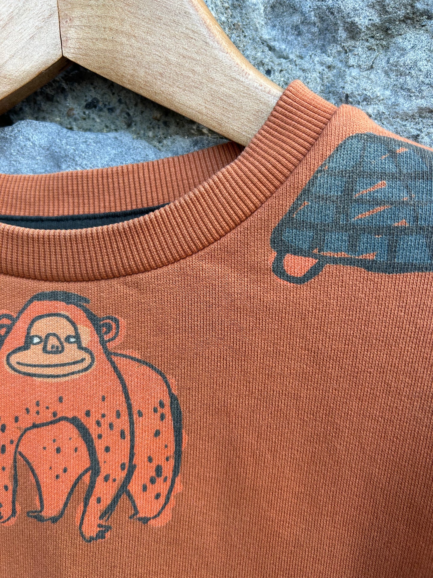 Wild animals rusty sweatshirt  4-5y (104-110cm)
