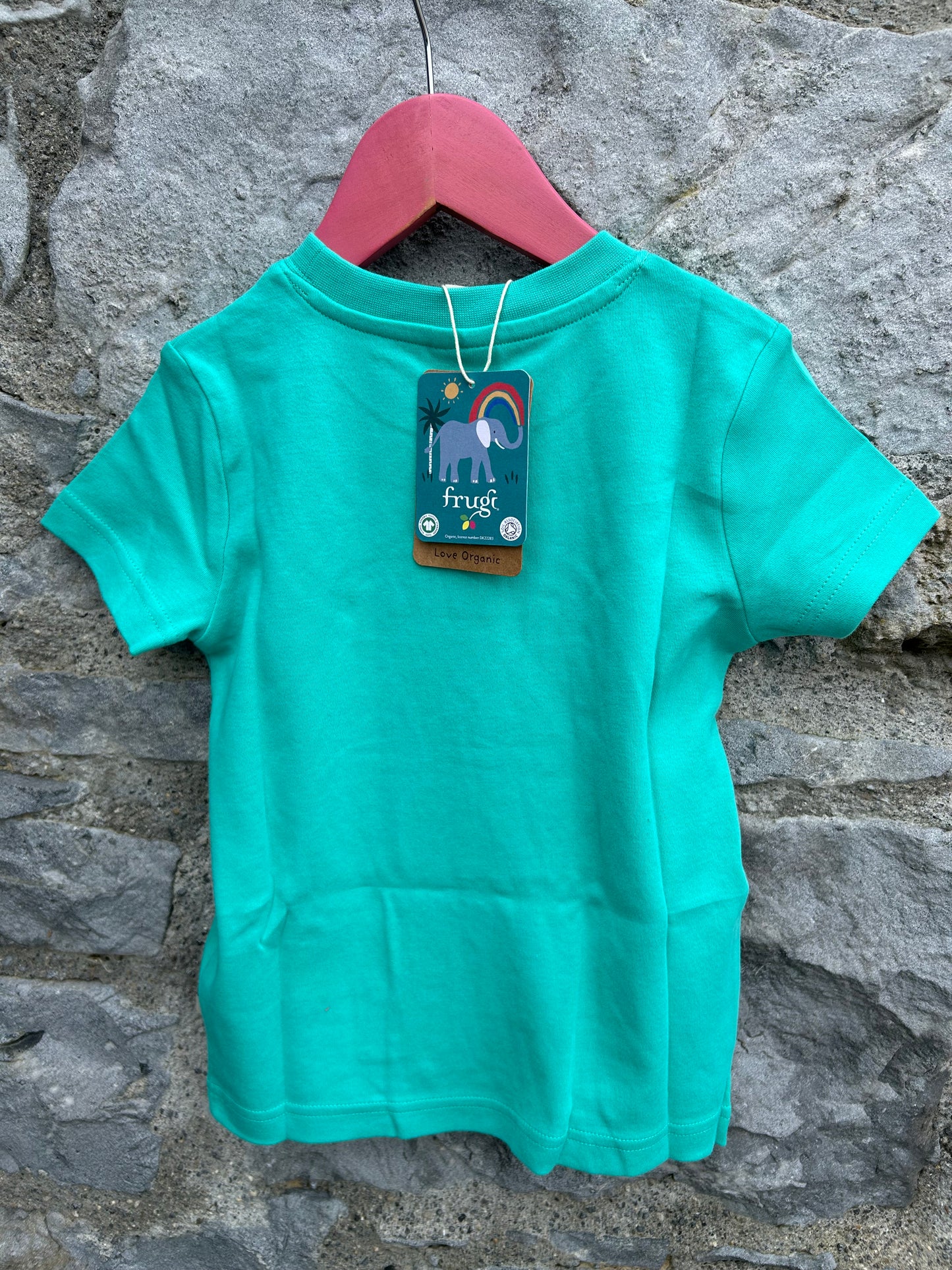 Elephant&rainbow green T-shirt   4-5y (104-110cm)