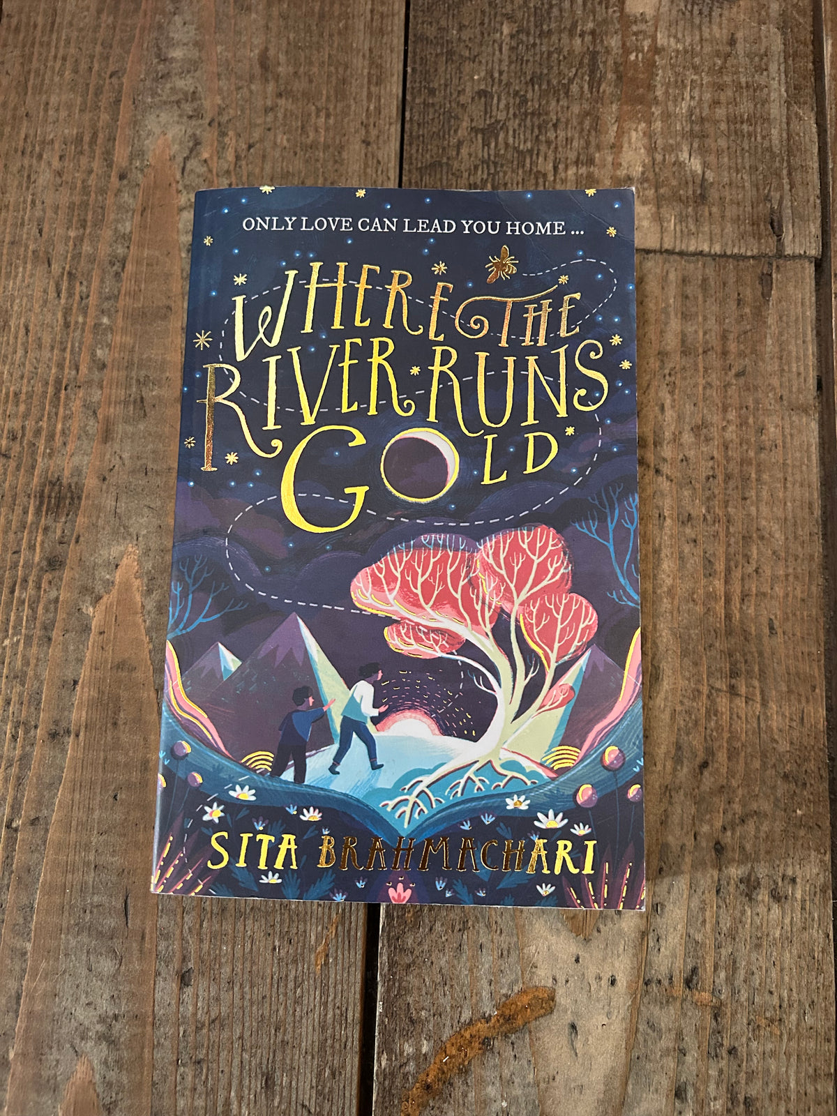 Where the river runs gold by Sita brahmachari