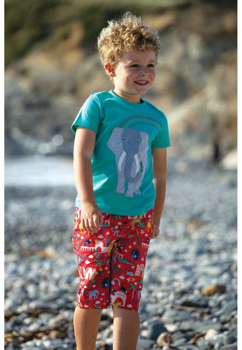 Elephant&rainbow green T-shirt   4-5y (104-110cm)