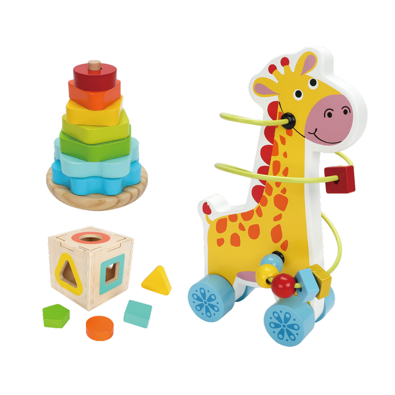 3-in 1 wooden toys