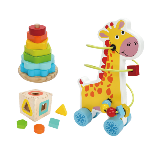 3-in 1 wooden toys