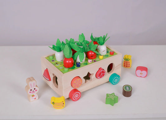 Radish box shape sorter