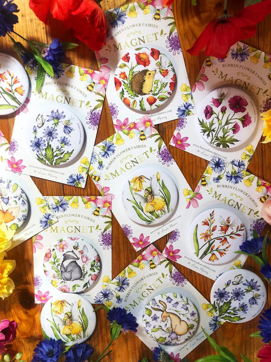 Flower&Animal Fridge Magnets