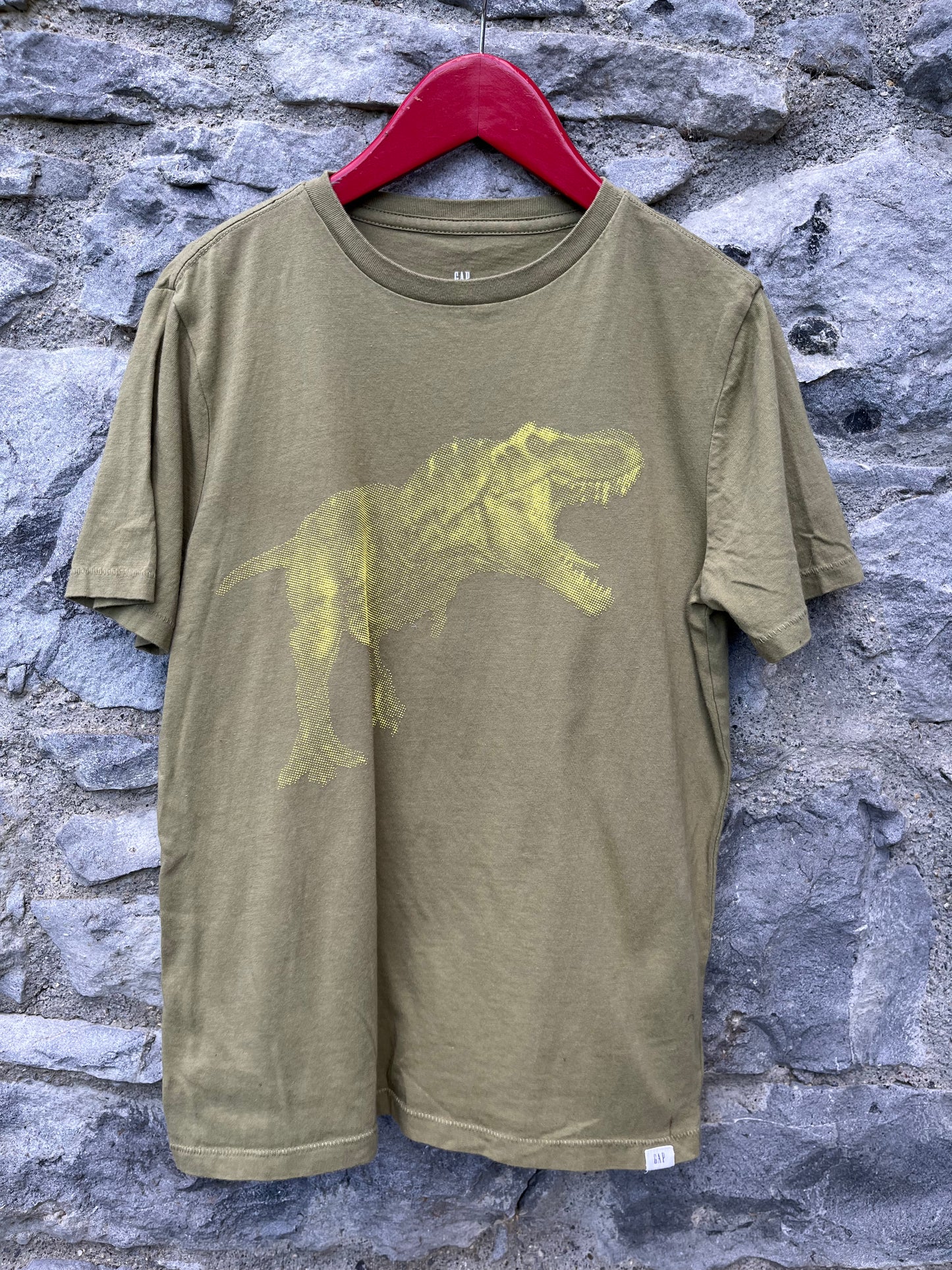 Khaki T-rex T-shirt  12-13y (152-158cm)