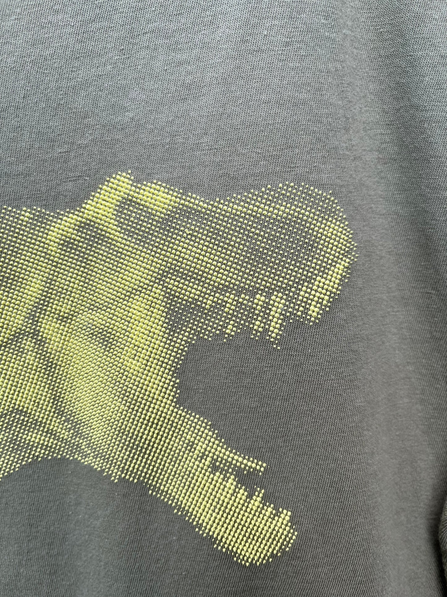 Khaki T-rex T-shirt  12-13y (152-158cm)