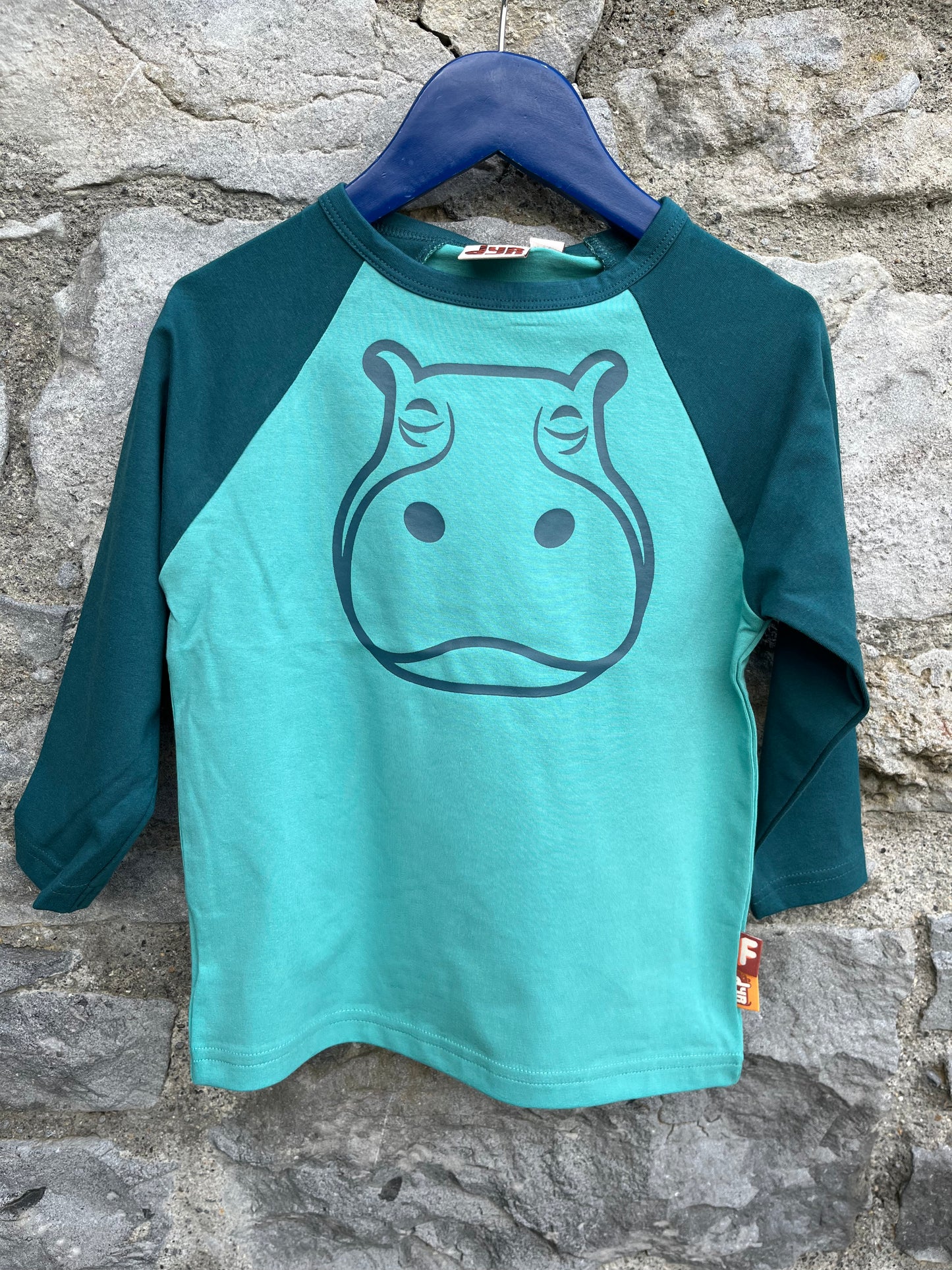 Hippo raglan top  2-3y (92-98cm)