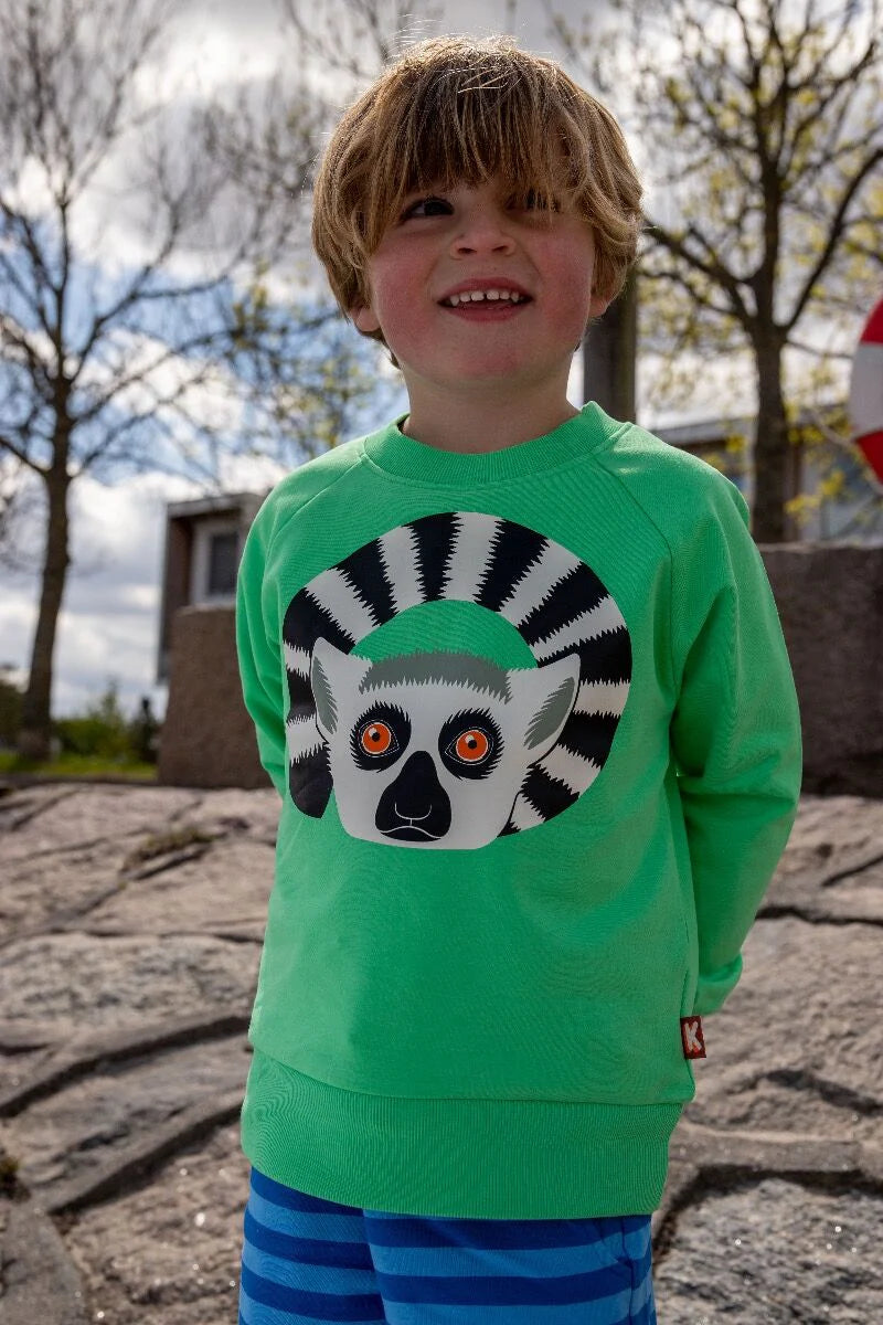 Lemur green sweatshirt  4y (104cm)