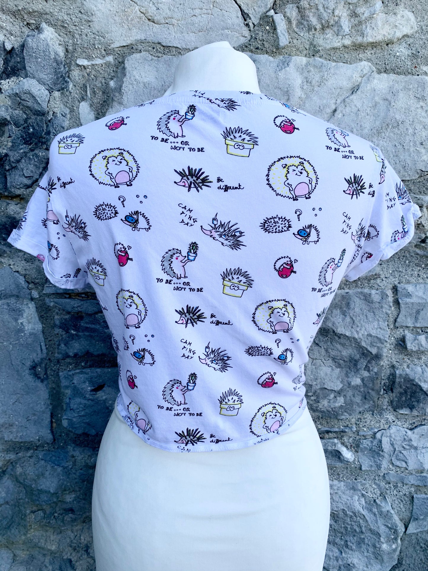 Hedgehog cropped top   uk 8