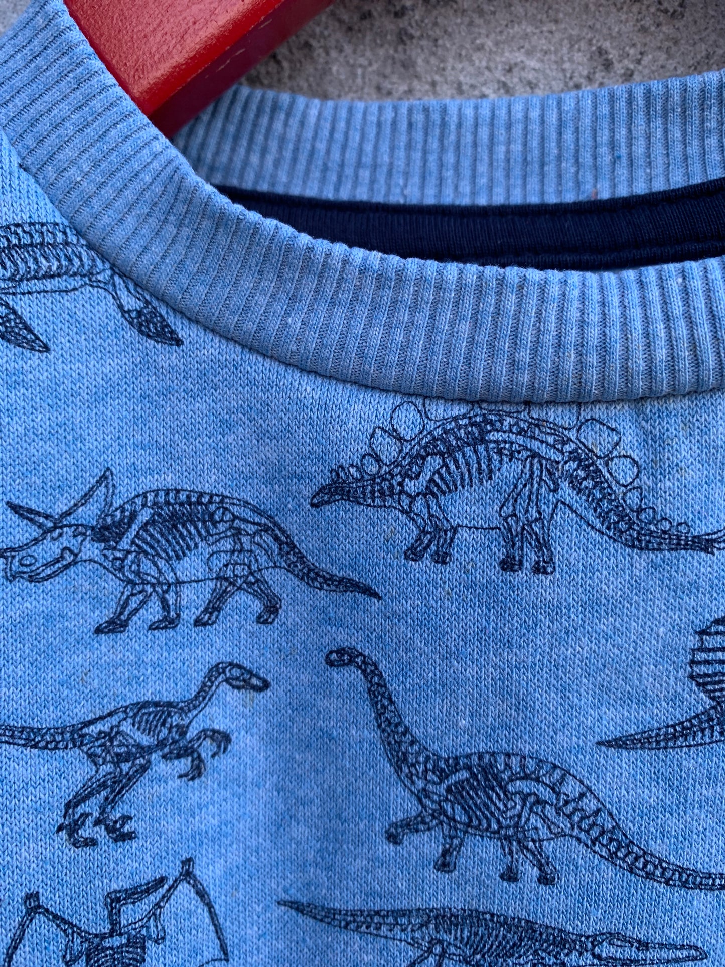 Dinosaurs sweatshirt   6-9m (68-74cm)