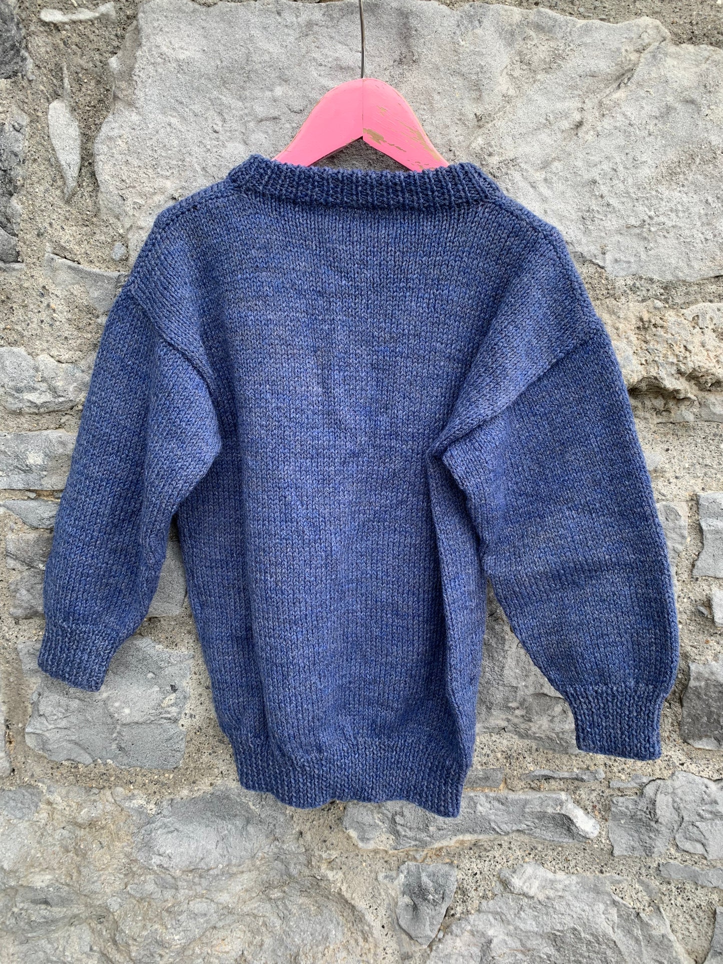 Wind in the willows jumper  5-6y (110-116cm)