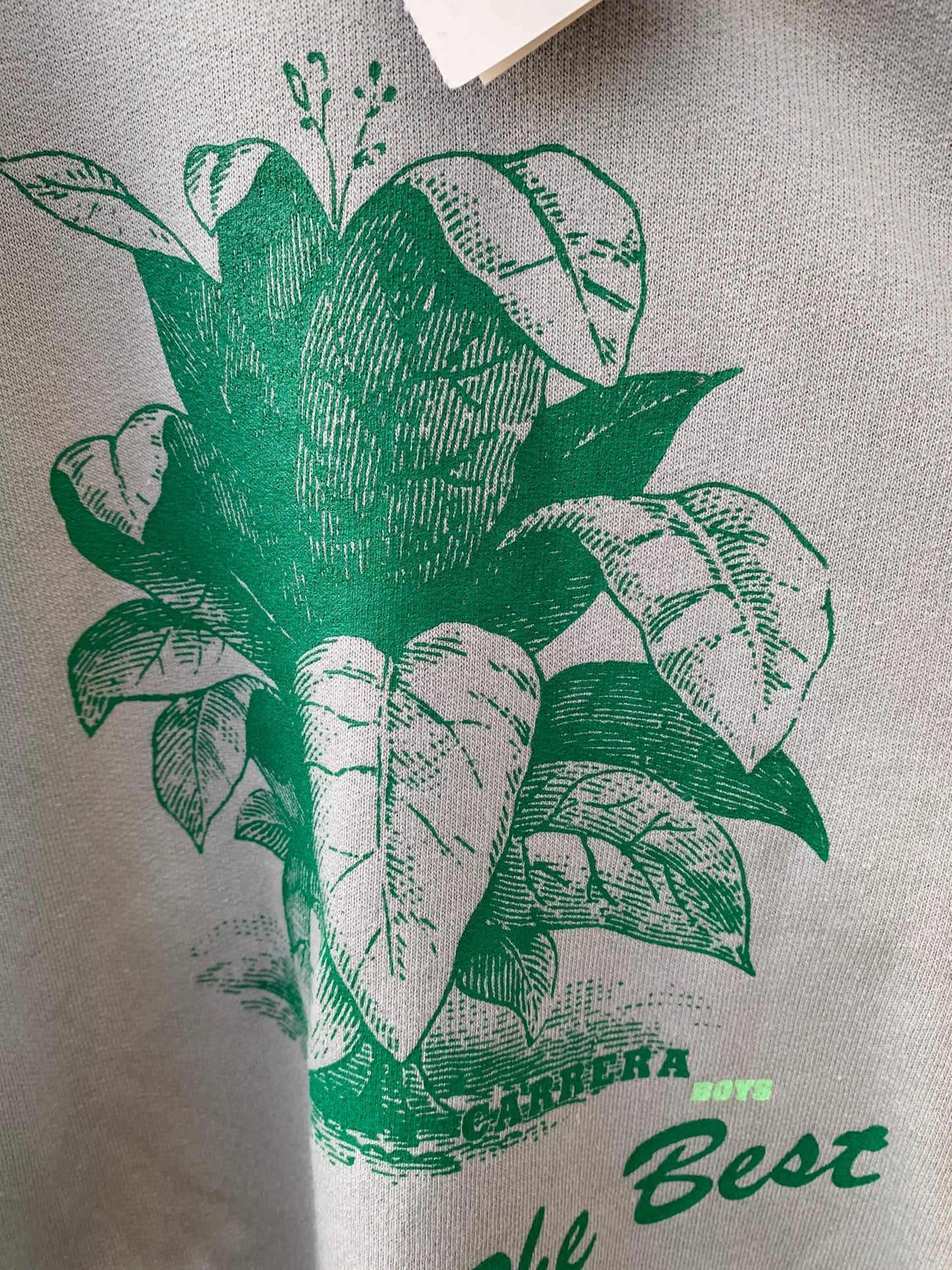 Grey sweatshirt with green plant    5-6y (110-116cm)